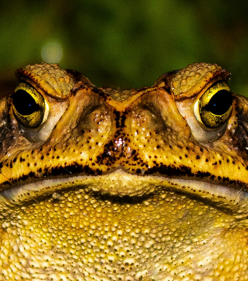 “Rainy Season” and Shirley Jackson’s “The Summer People” 