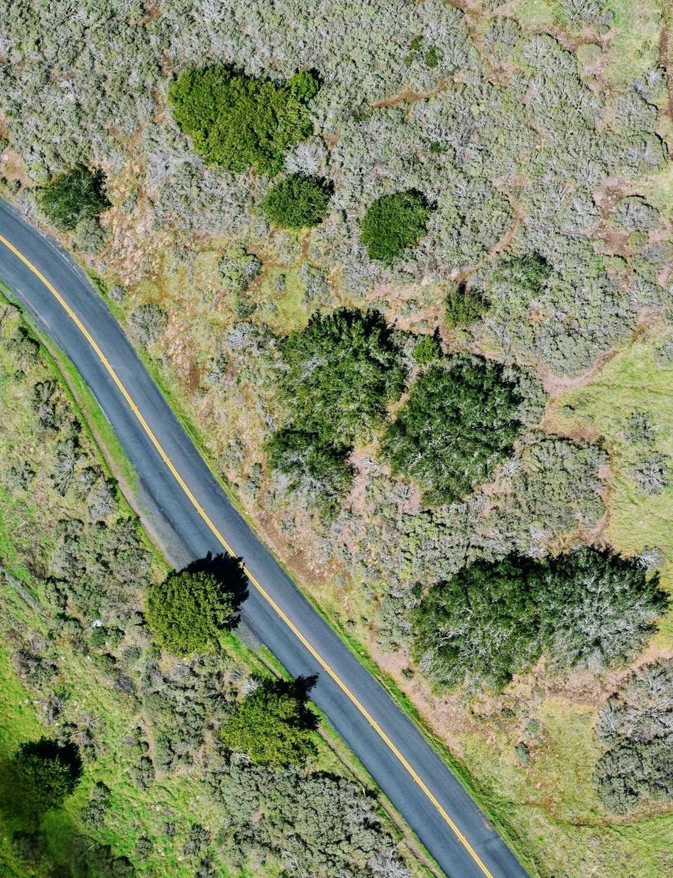 Literary Geography and King’s Maine 