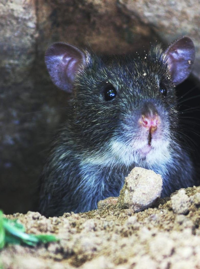 Filmed in Maine, Literary Tourism, and ‘Graveyard Shift’