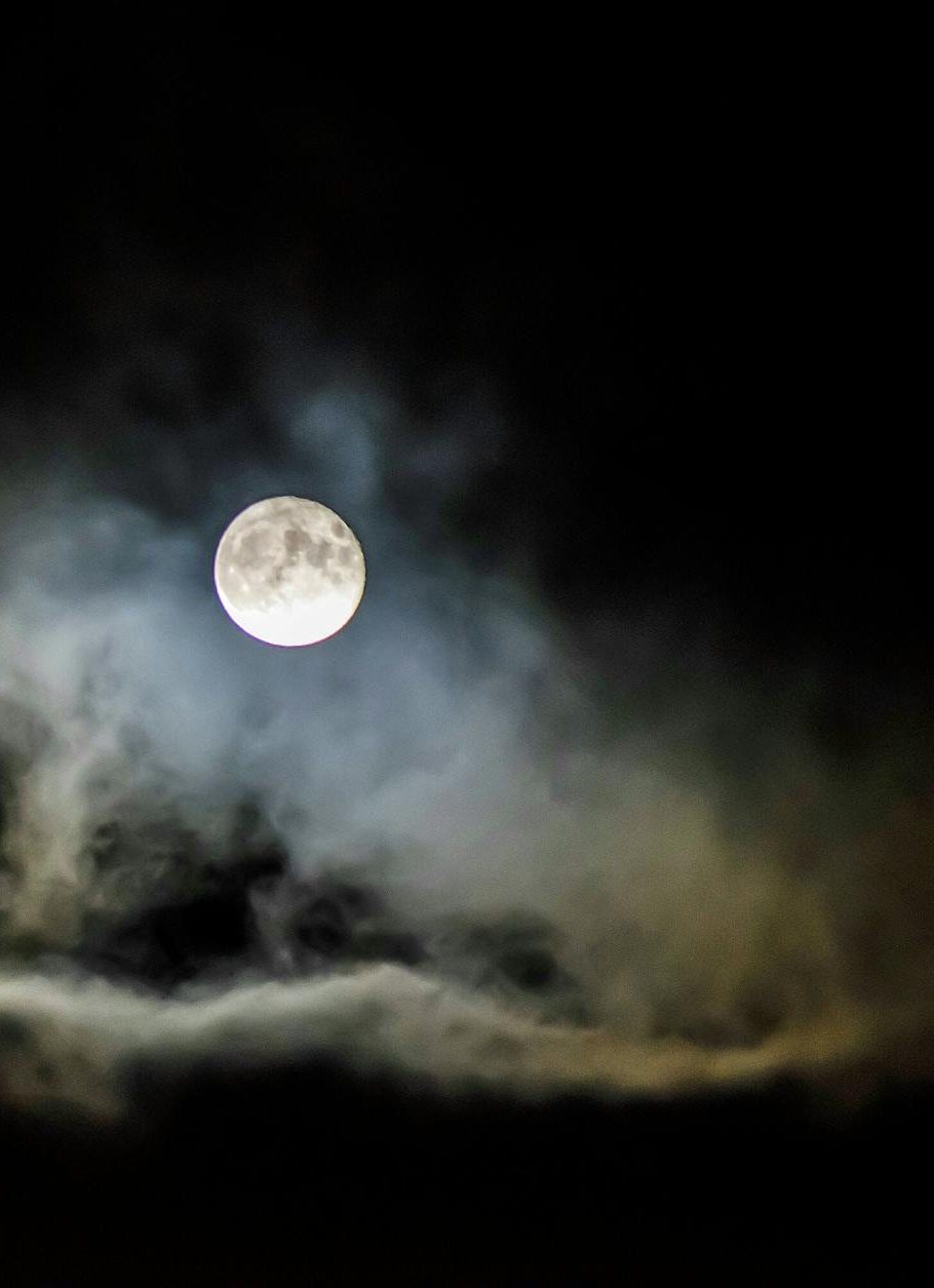 No Safe Spaces: Places and Spaces of Horror&nbsp;Cinema